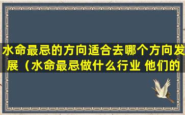 水命最忌的方向适合去哪个方向发展（水命最忌做什么行业 他们的命运如何）